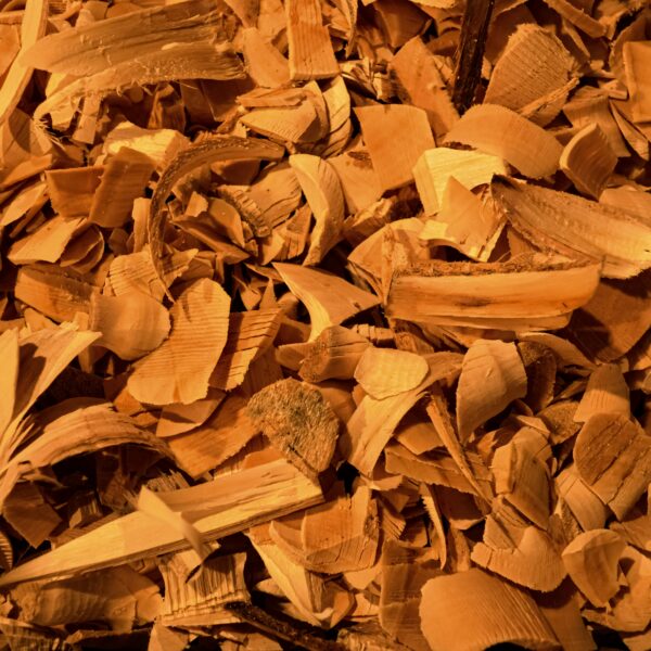 Santal